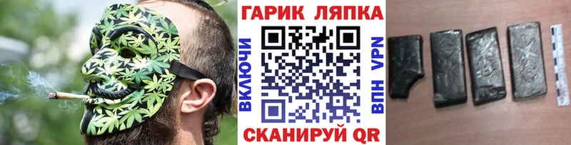 ГАШ Premium  Петрозаводск 