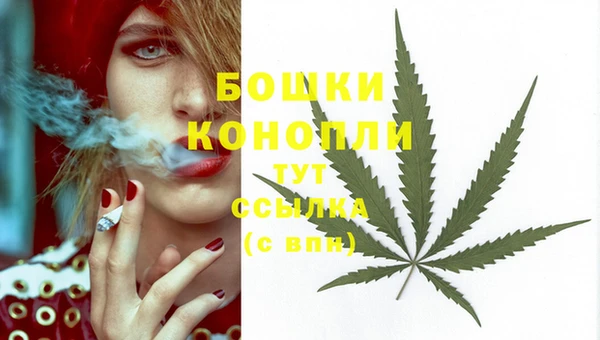 PSILOCYBIN Коряжма