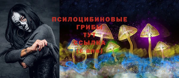дурь Лабытнанги