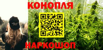 тгк Заводоуковск