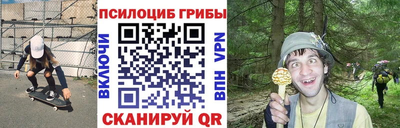 Галлюциногенные грибы прущие грибы Петрозаводск