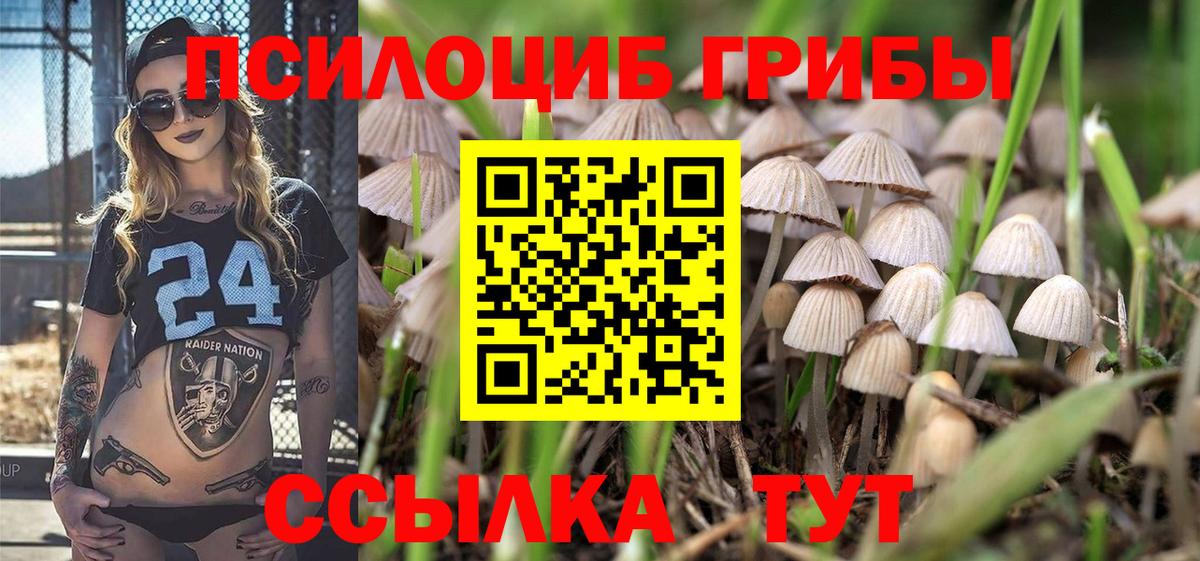 Петрозаводск  Галлюциногенные грибы Magic Shrooms  Вход с VPN  Псилоцибиновые грибы мицелий 