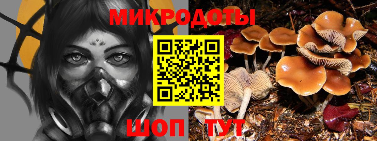 Псилоцибиновые грибы MAGIC MUSHROOMS Петрозаводск