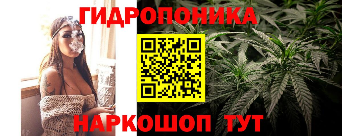 Конопля сатива  Бошки марихуана марихуана  Бошки марихуана семена  Вход с VPN  Бошки марихуана гибрид  Петрозаводск 